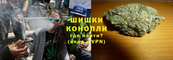 mdpv Бородино