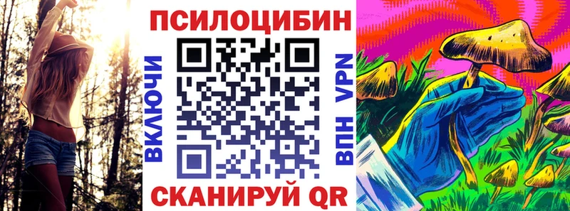 Псилоцибиновые грибы Psilocybine cubensis  Купить закладки  Черногорск 