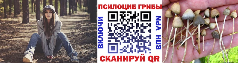 Галлюциногенные грибы Psilocybe Черногорск
